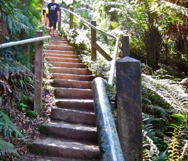 1000 Steps/Kokoda Trail