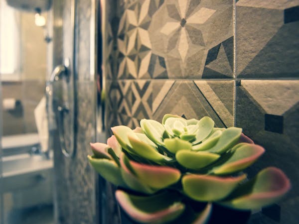 Bathroom - Standard East