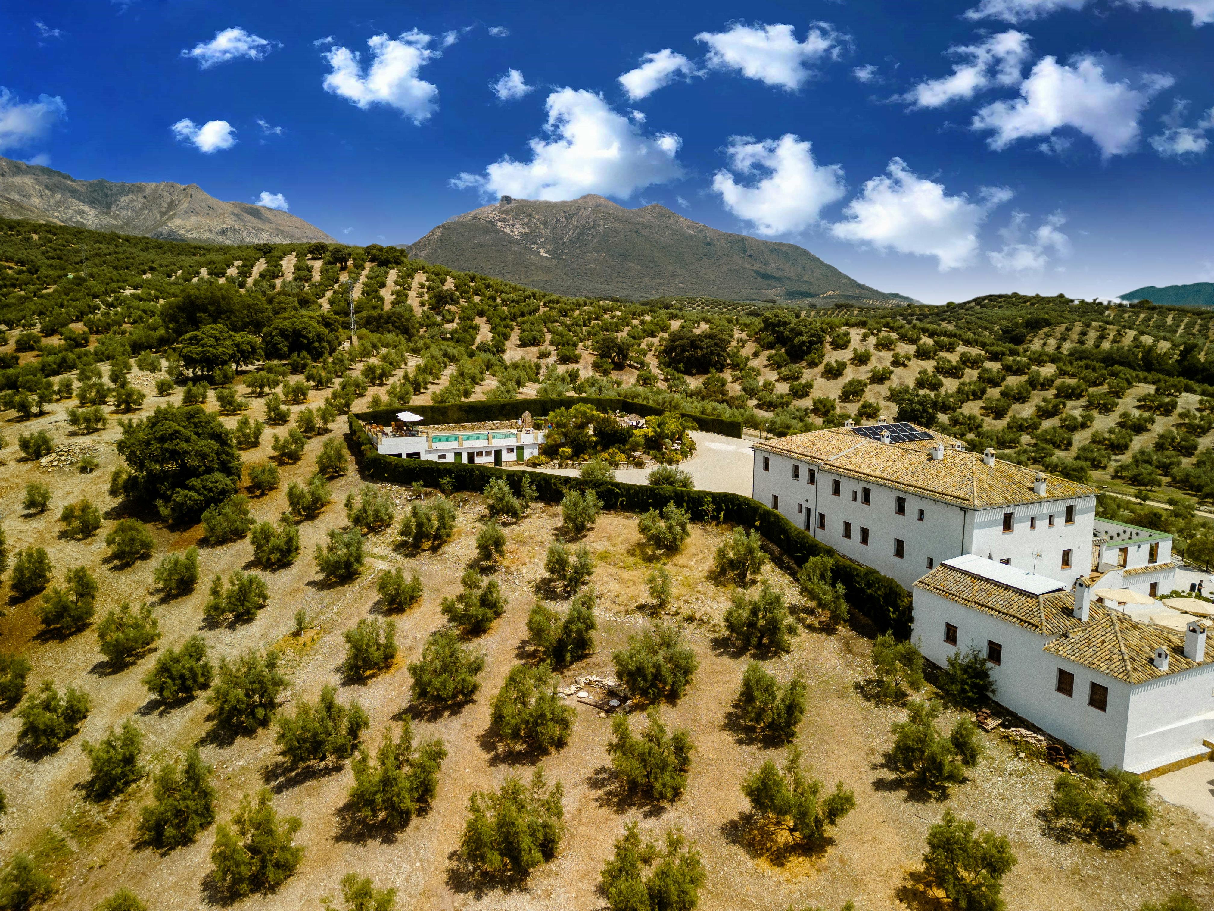 Image of the rustic 18th‑century Andalusian farmhouse façade framed by olive trees