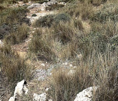 View of the Sierra Subbética landscape with hiking trails and rolling hills