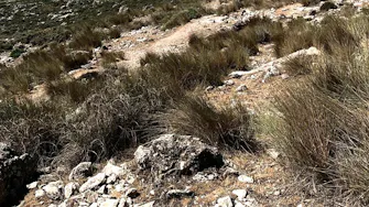 View of the Sierra Subbética landscape with hiking trails and rolling hills