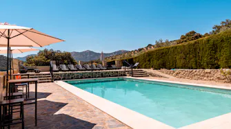 Swimming pool surrounded by sun loungers, gardens and olive groves