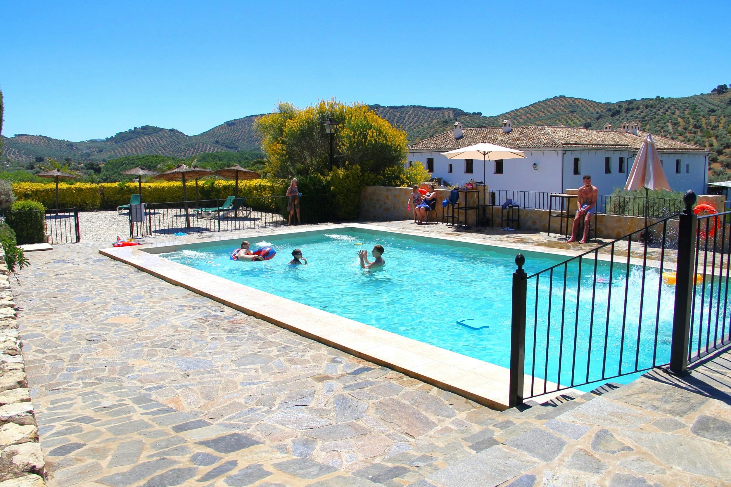 Swimming pool surrounded by sun loungers, gardens and olive groves