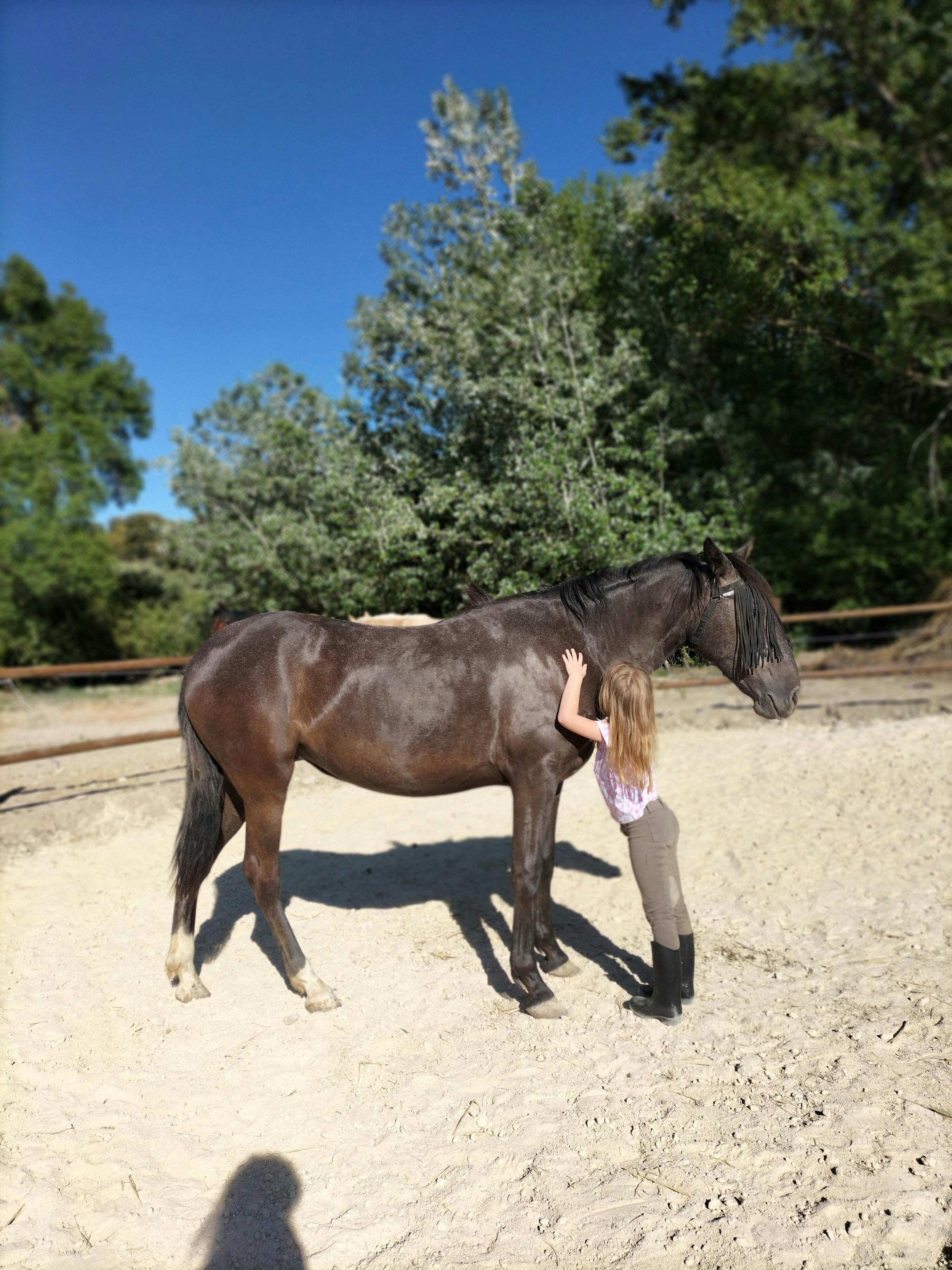 girl with beautiful andalucian horse