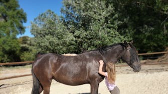 girl with beautiful andalucian horse