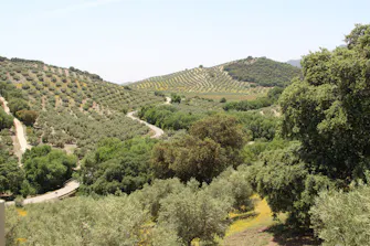 View of the Sierra Subbética landscape with hiking trails and rolling hills