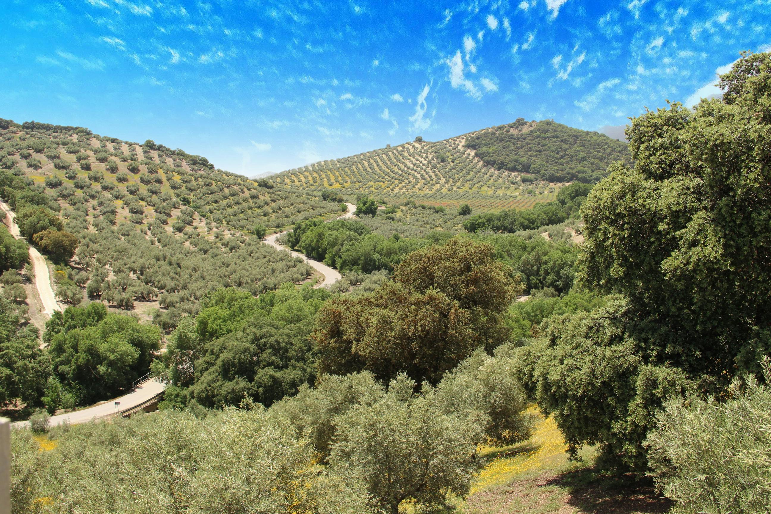 View of the Sierra Subbética landscape with hiking trails and rolling hills