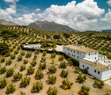 Image of the rustic 18th‑century Andalusian farmhouse façade framed by olive trees