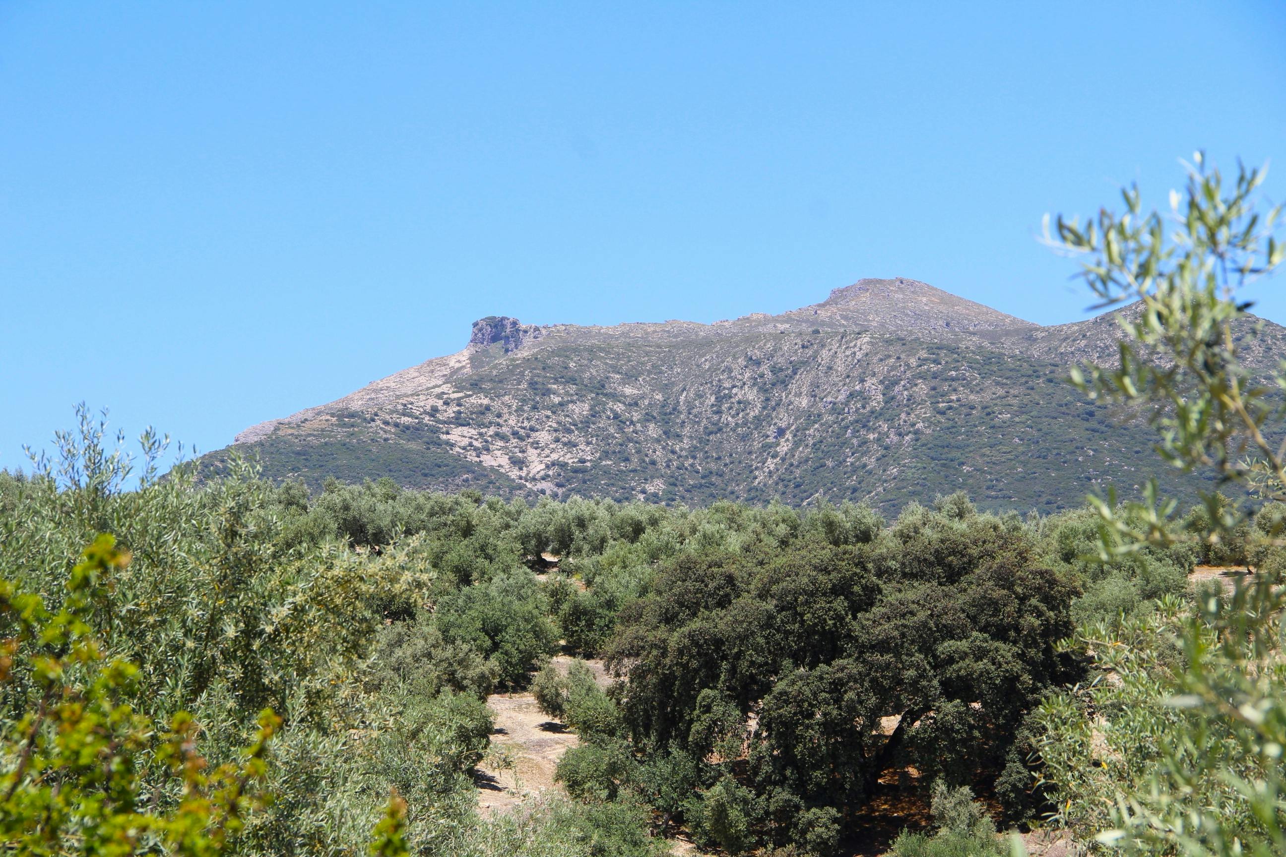 View of the Sierra Subbética landscape with hiking trails and rolling hills