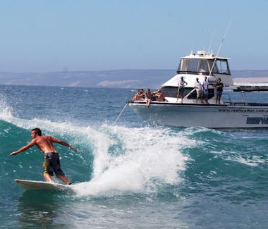 Reef walker fishing charters, Kalbarri fishing and whale watching tours.