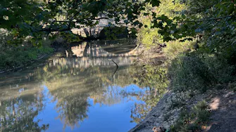 Photo of Lola standing by the mill stream in Arundel