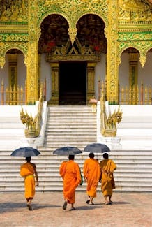 Wat Xiengthong Luang Prabang monks
