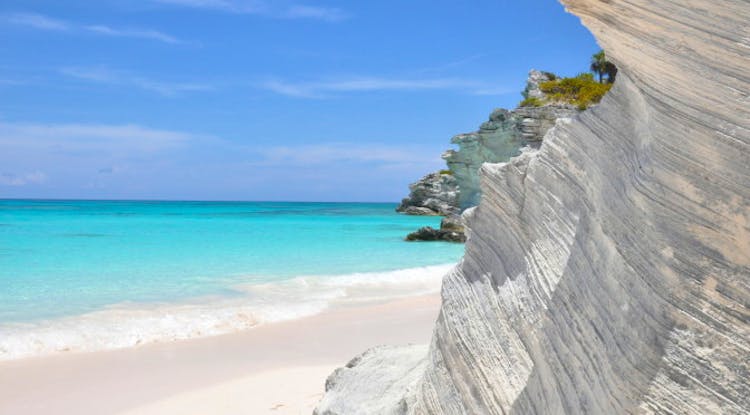 Home La Bougainvillea