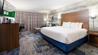 King Bed•Sofa• Walkin Shower•312ft²