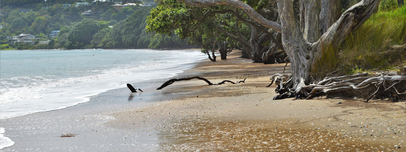 Coopers Beach, Doubtless Bay, New Zealand