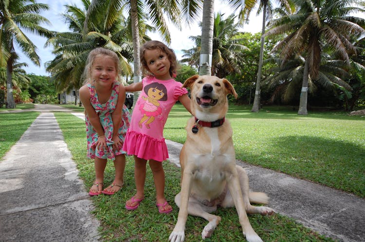 Coco the Resort dog