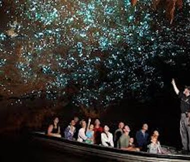 The Glow worm caves is a local experience not to be missed!