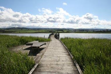 Tamar Wetlands. A great place to see while staying at Historic Blakes Manor.