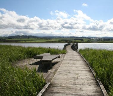 Tamar Wetlands. A great place to see while staying at Historic Blakes Manor.