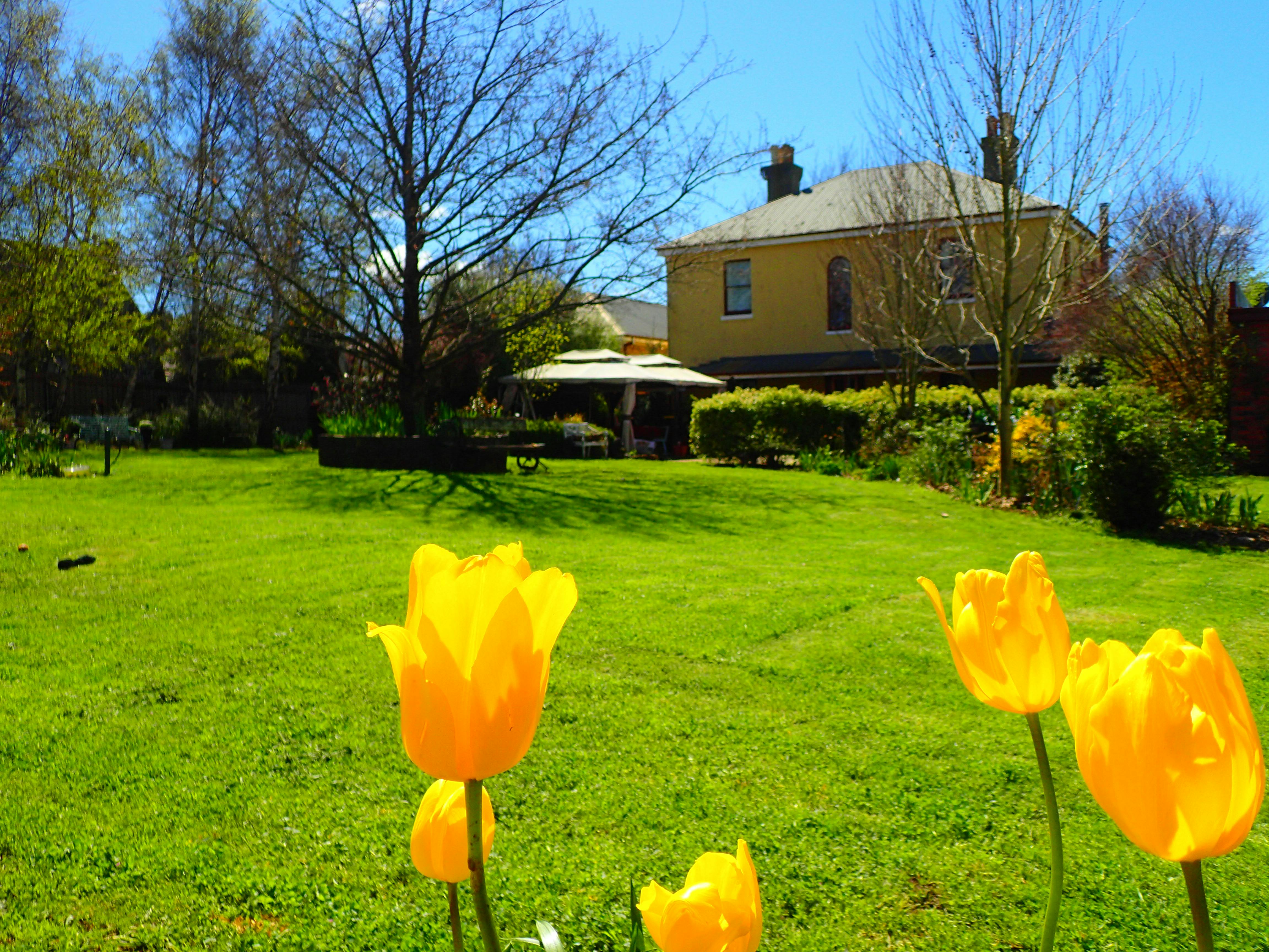 The heritage beauty of colourful gardens at Blakes Manor Deloraine Tasmania.