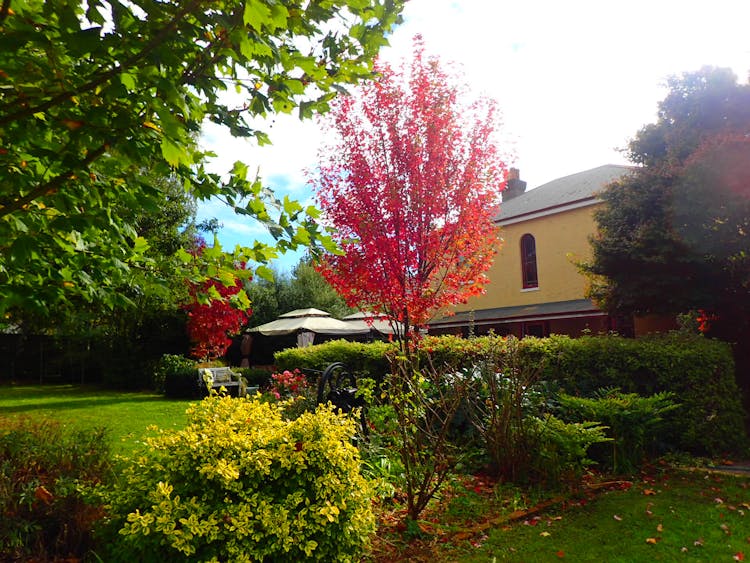 The heritage beauty of colourful gardens at Blakes Manor Deloraine Tasmania.