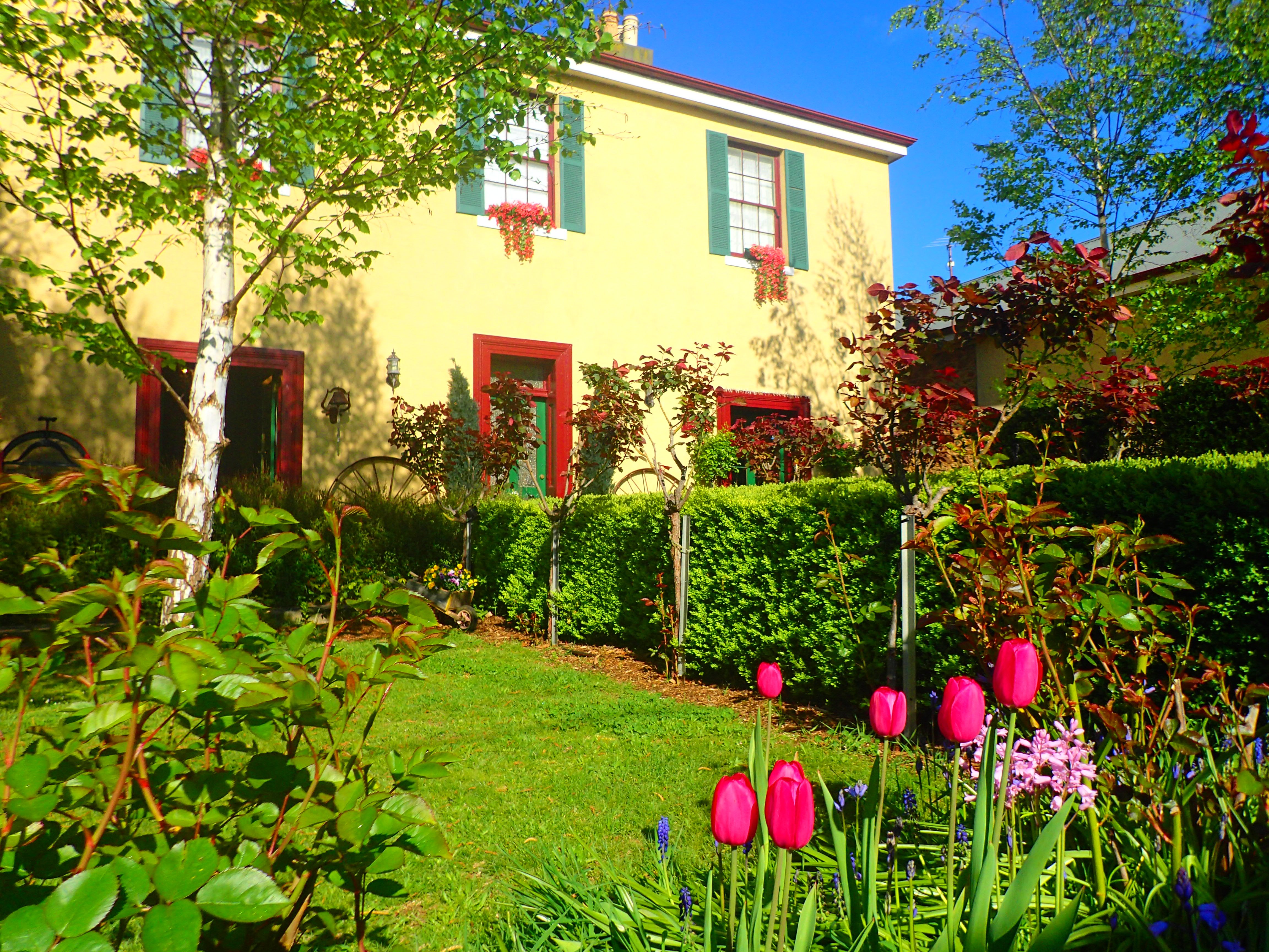 The heritage beauty of colourful gardens at Blakes Manor Deloraine Tasmania.