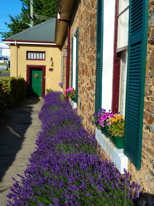 The beauty and charm of Historic Blakes Manor. Deloraine Tasmania.