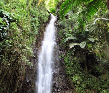 Dark View Falls in Saint Vincent and the Grenadines