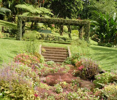 Montreal Gardens in Saint Vincent, Island Accommodations