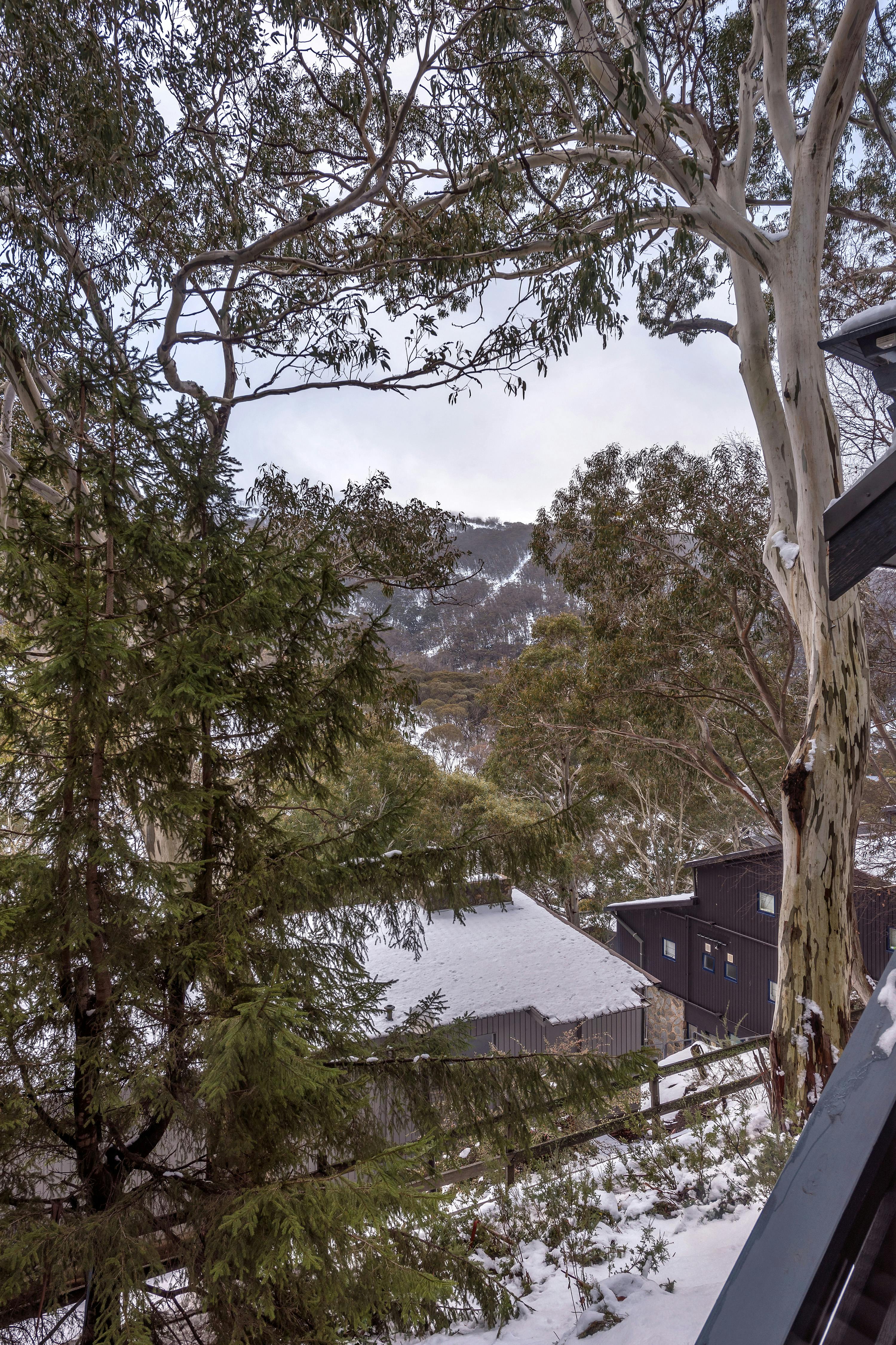 Deluxe Family Room 3 - North view from window