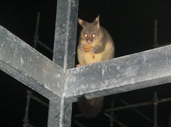 Crescent Head Sun Worship Eco Villas Building Project