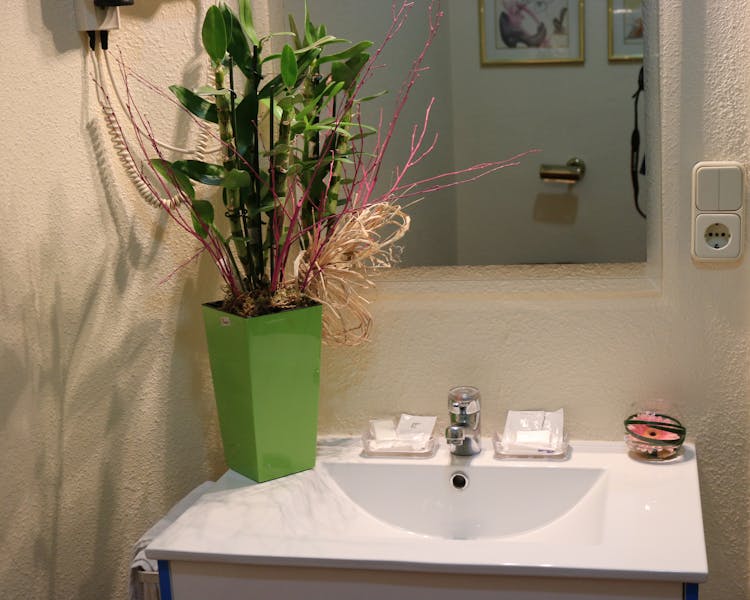 Individual baño compartido. Lavabo