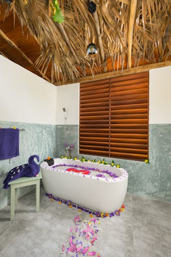 Calm healing space for traditional Ayurvedic therapies