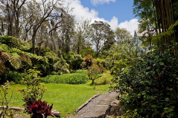 Hale 'Ohu garden and park