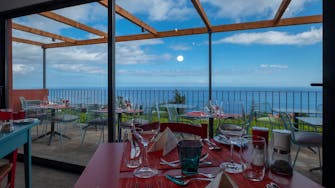 View from the wine bar restaurant with blue sky, green vineyard, and blue sea beyond