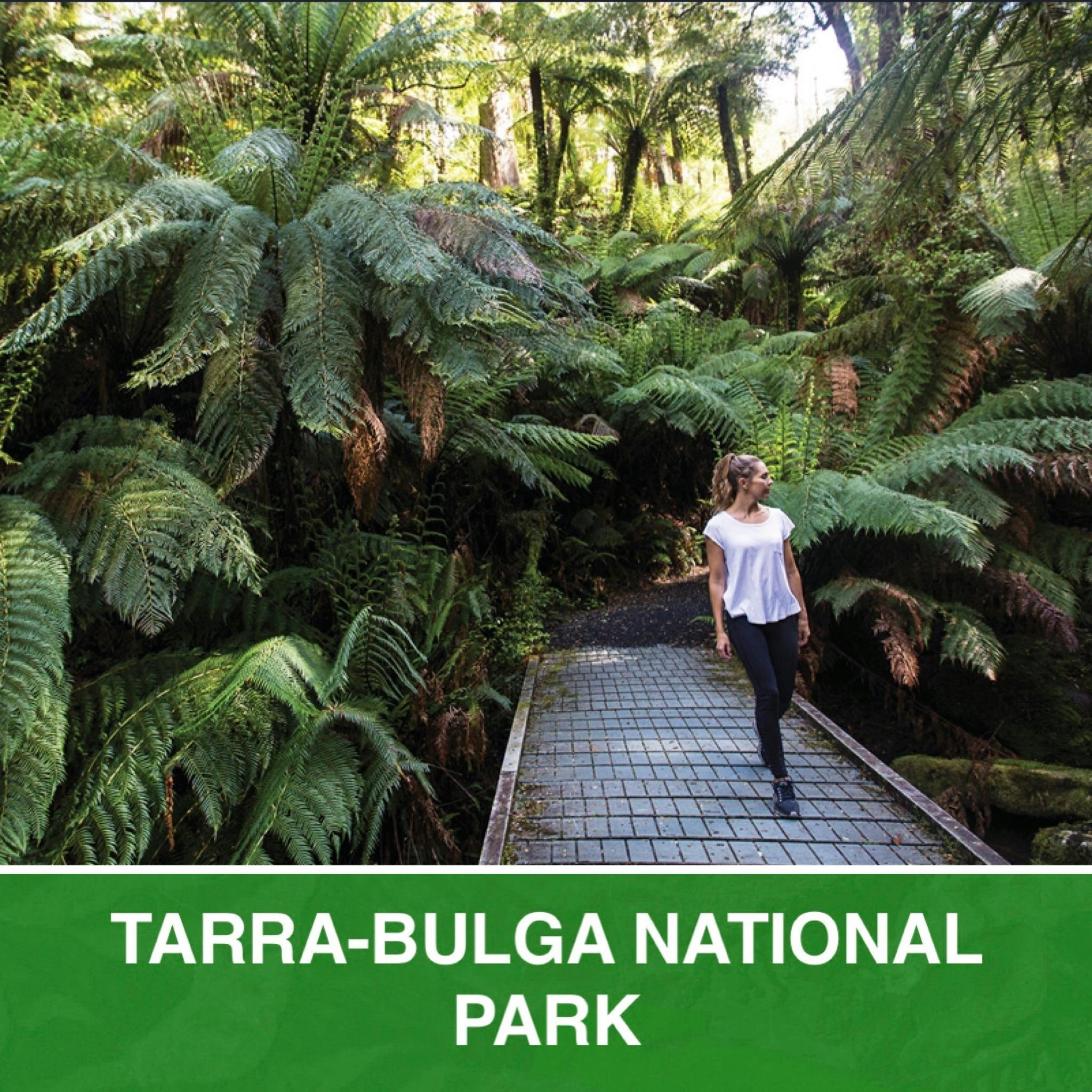 Tarra-Bulga National Park