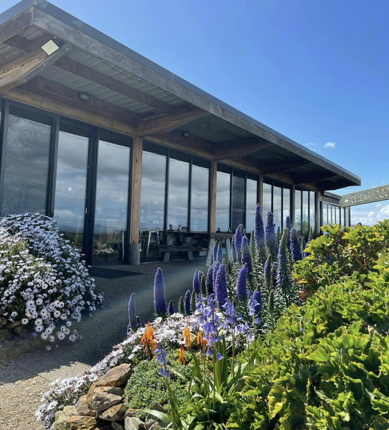 Gurneys Cider cellar door tasting room
