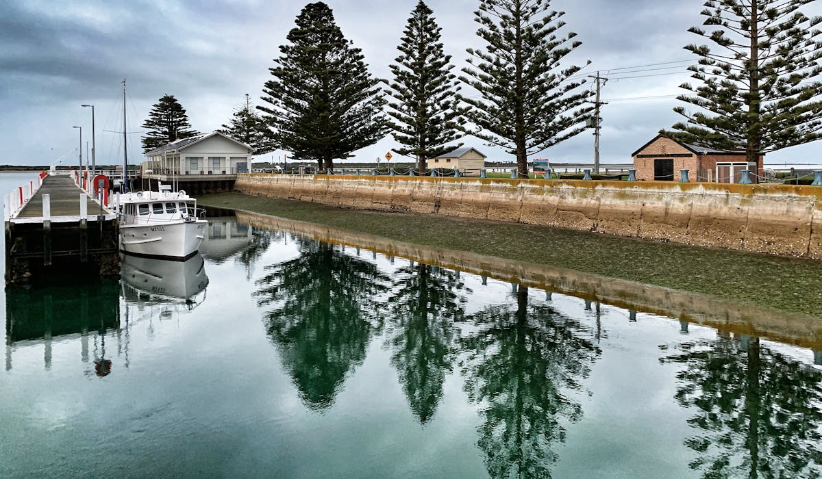 Norfolk pines line the harbour