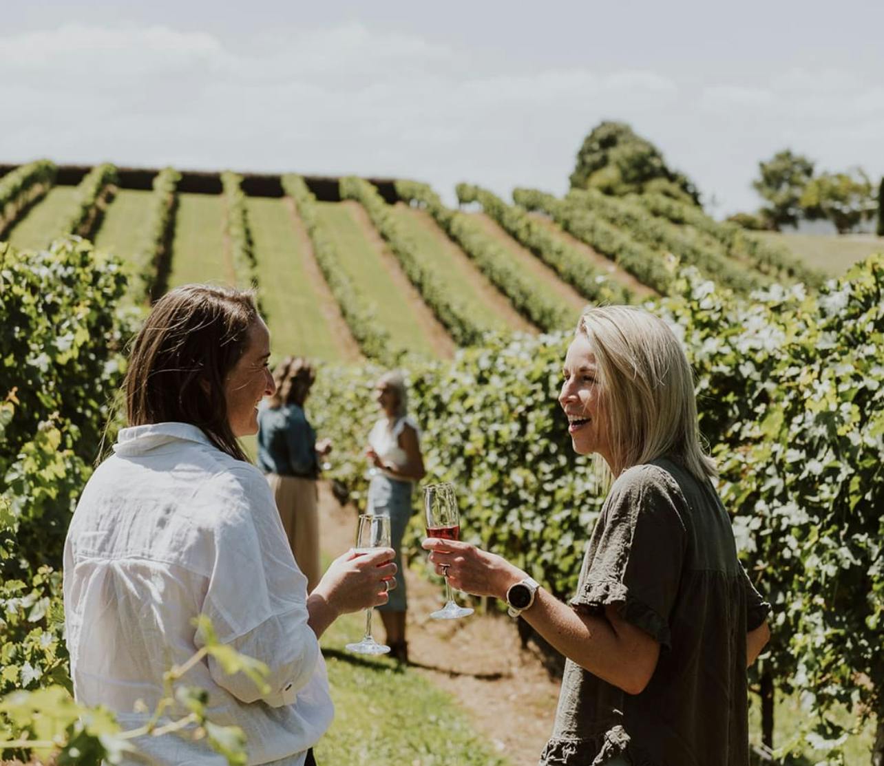 Explore Carrajung Estate Winery