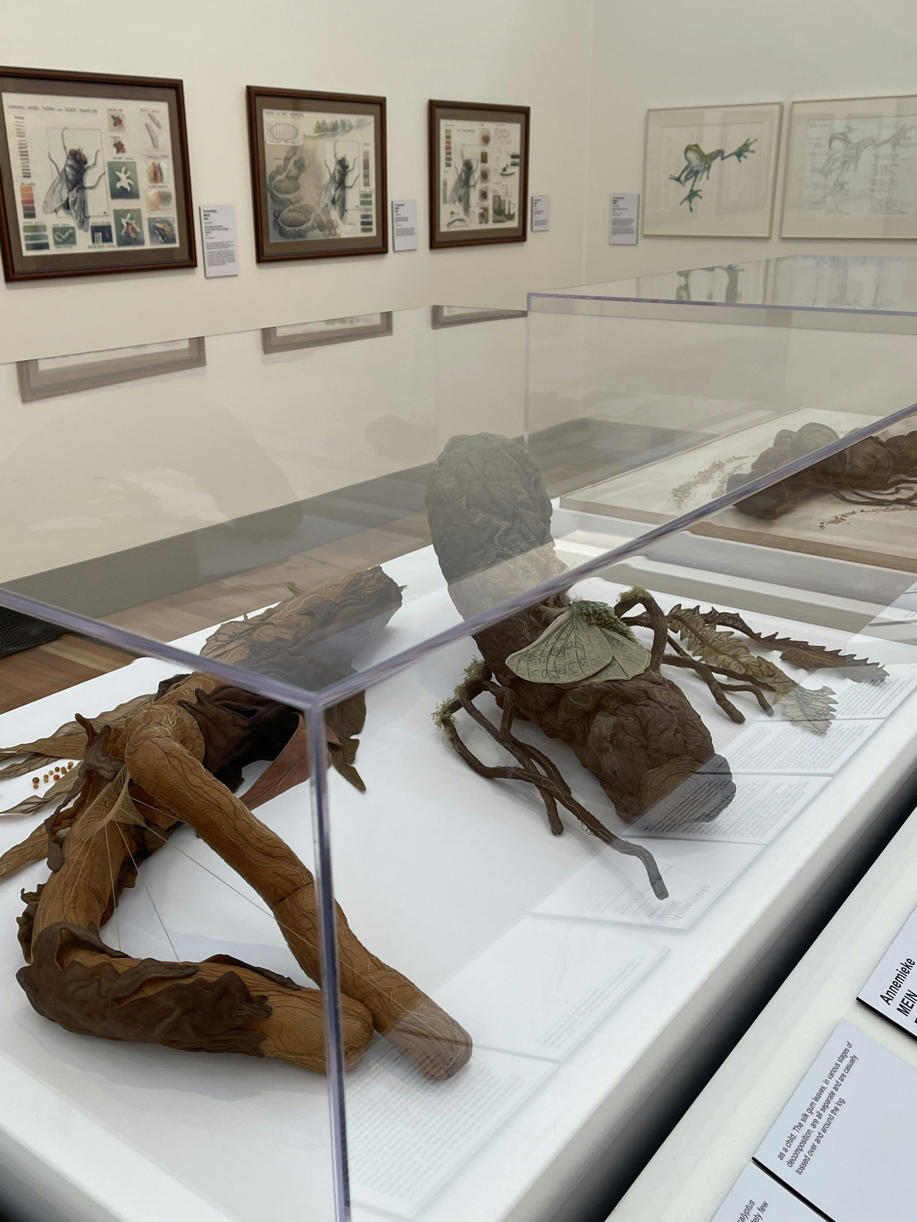 Gippsland Art Gallery