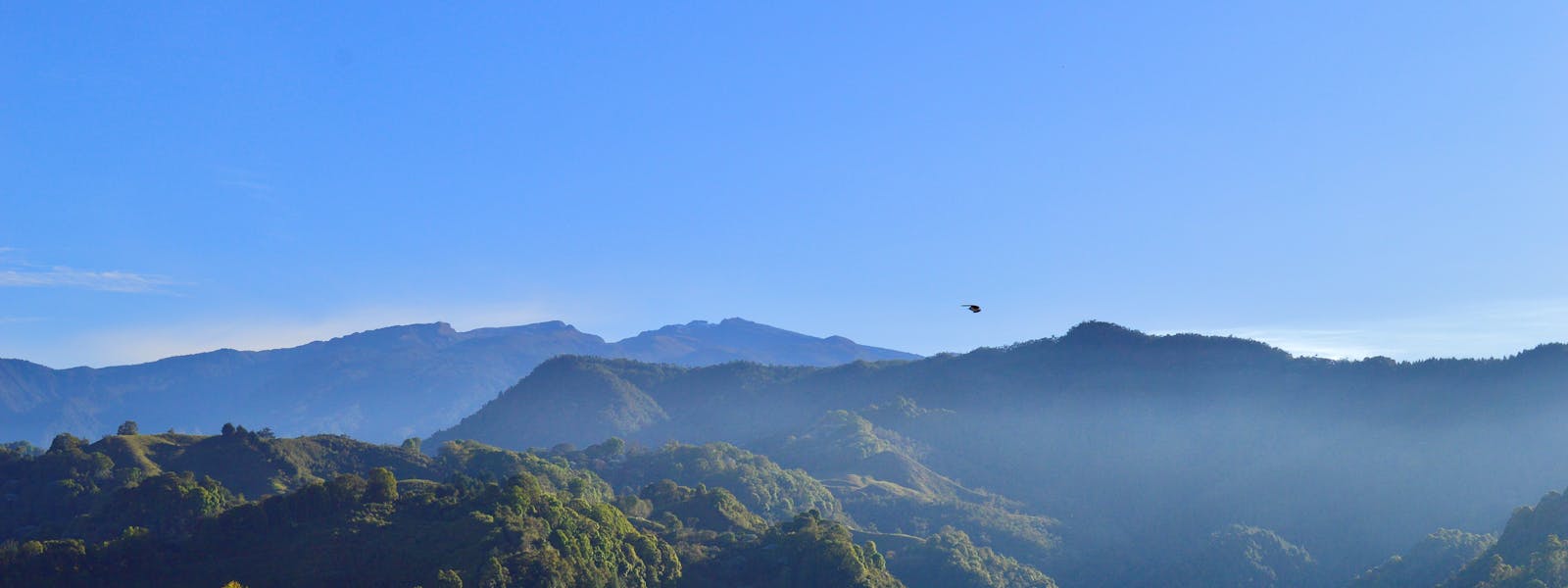 Vista al Valle del Cocora
