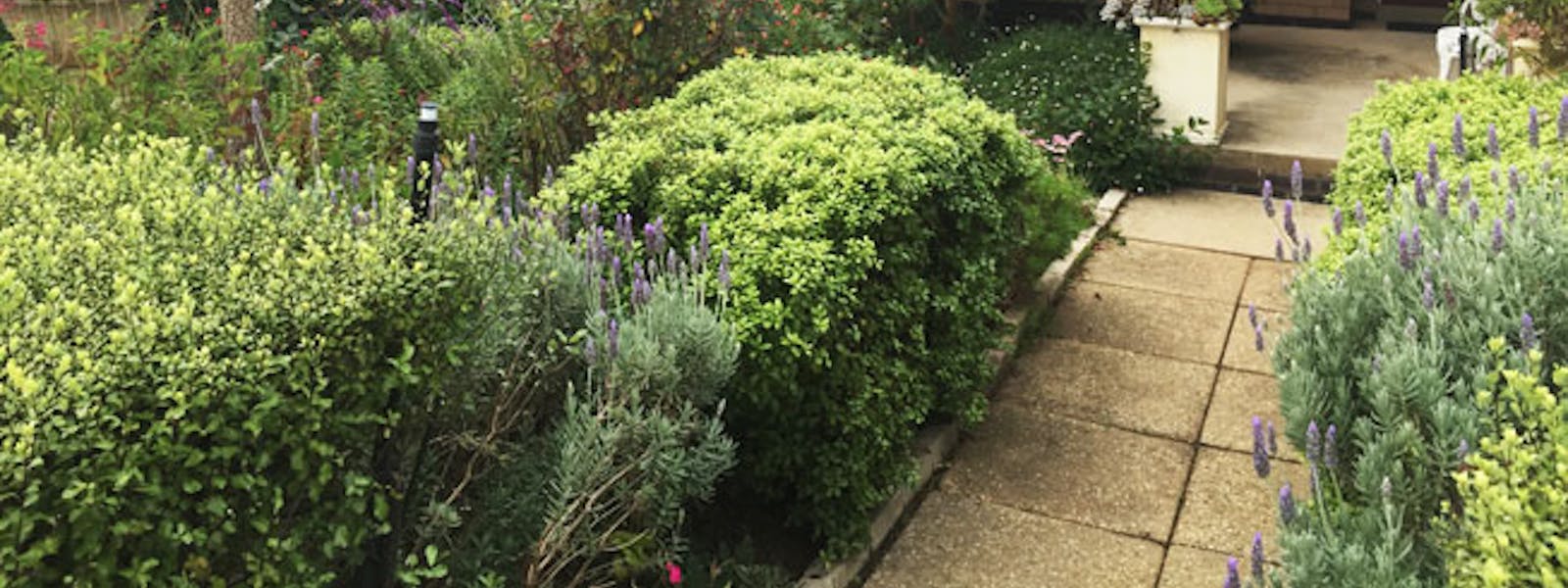 Front Garden