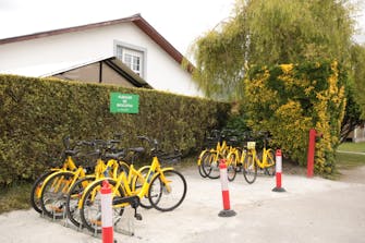 Planes para hacer, alquiler de bicicletas