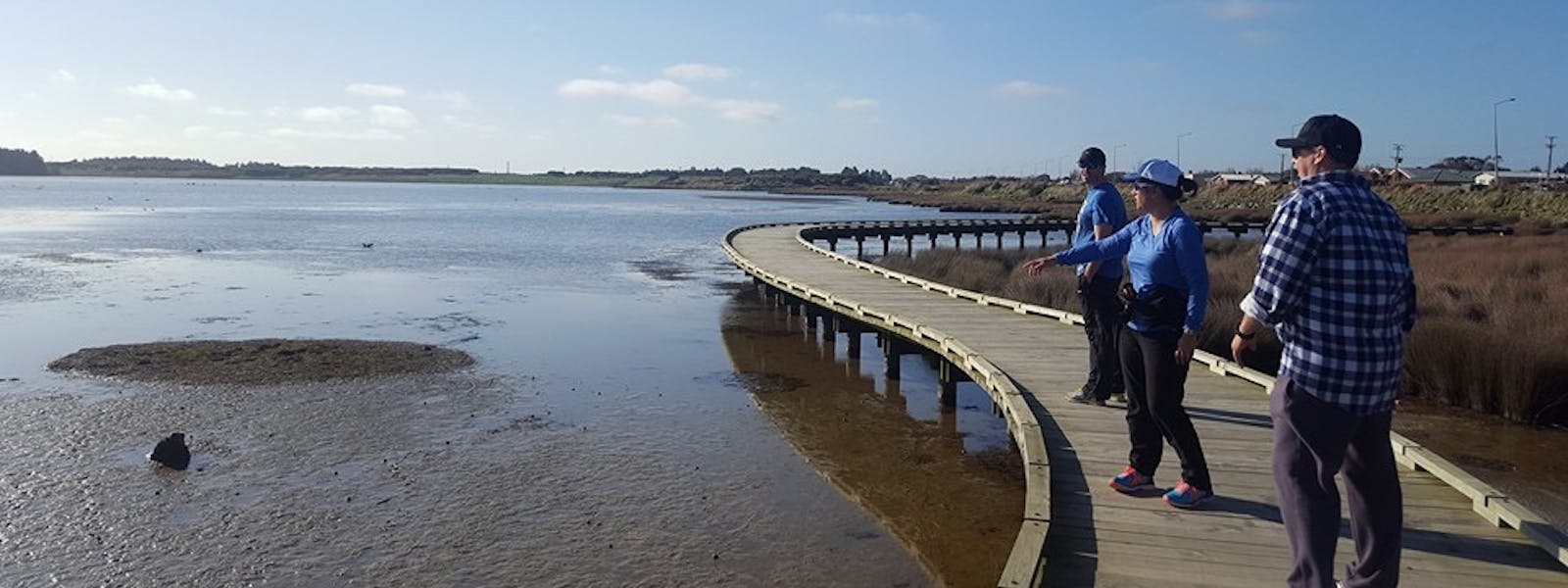 Invercargill Estuary Walkway
