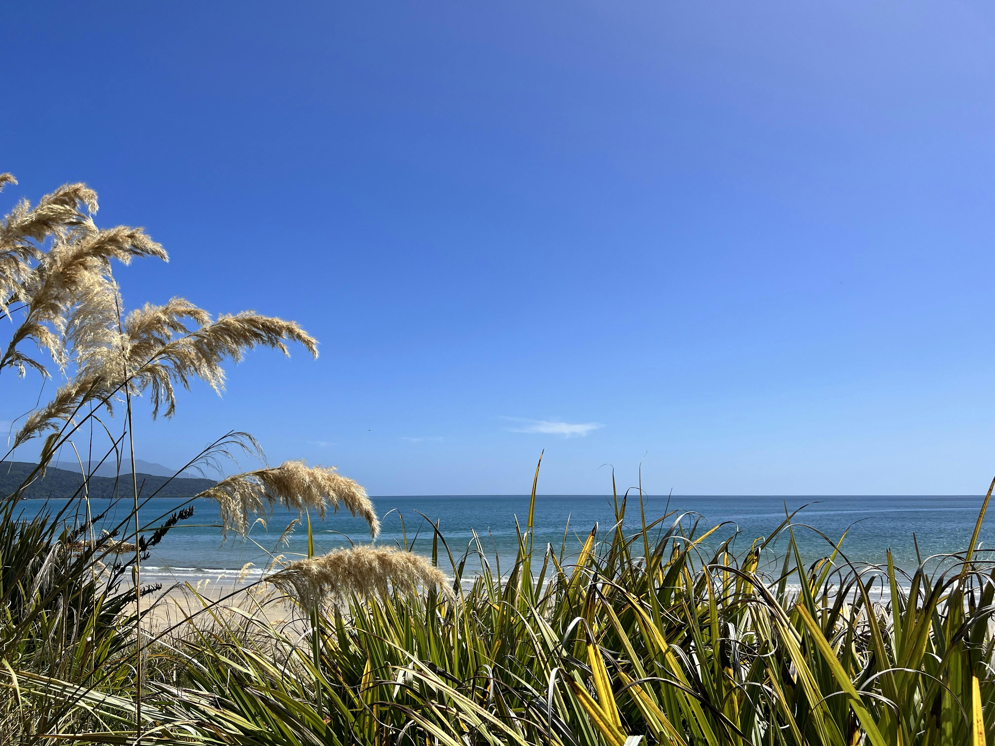 Lee Bay, Rakiura Stewart Island