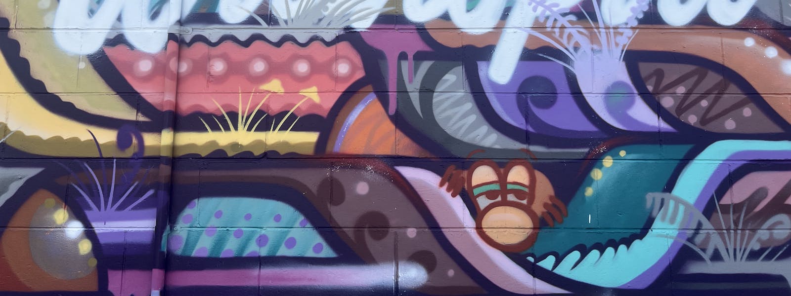 Waihopai (Invercargill) Street art, South Sea Spray Artists 2024