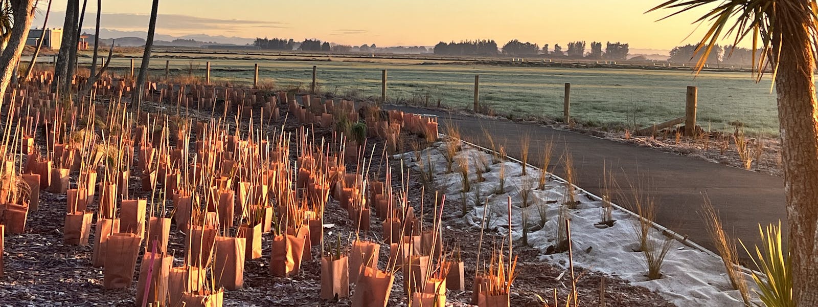 Walking track, Invercargill airport