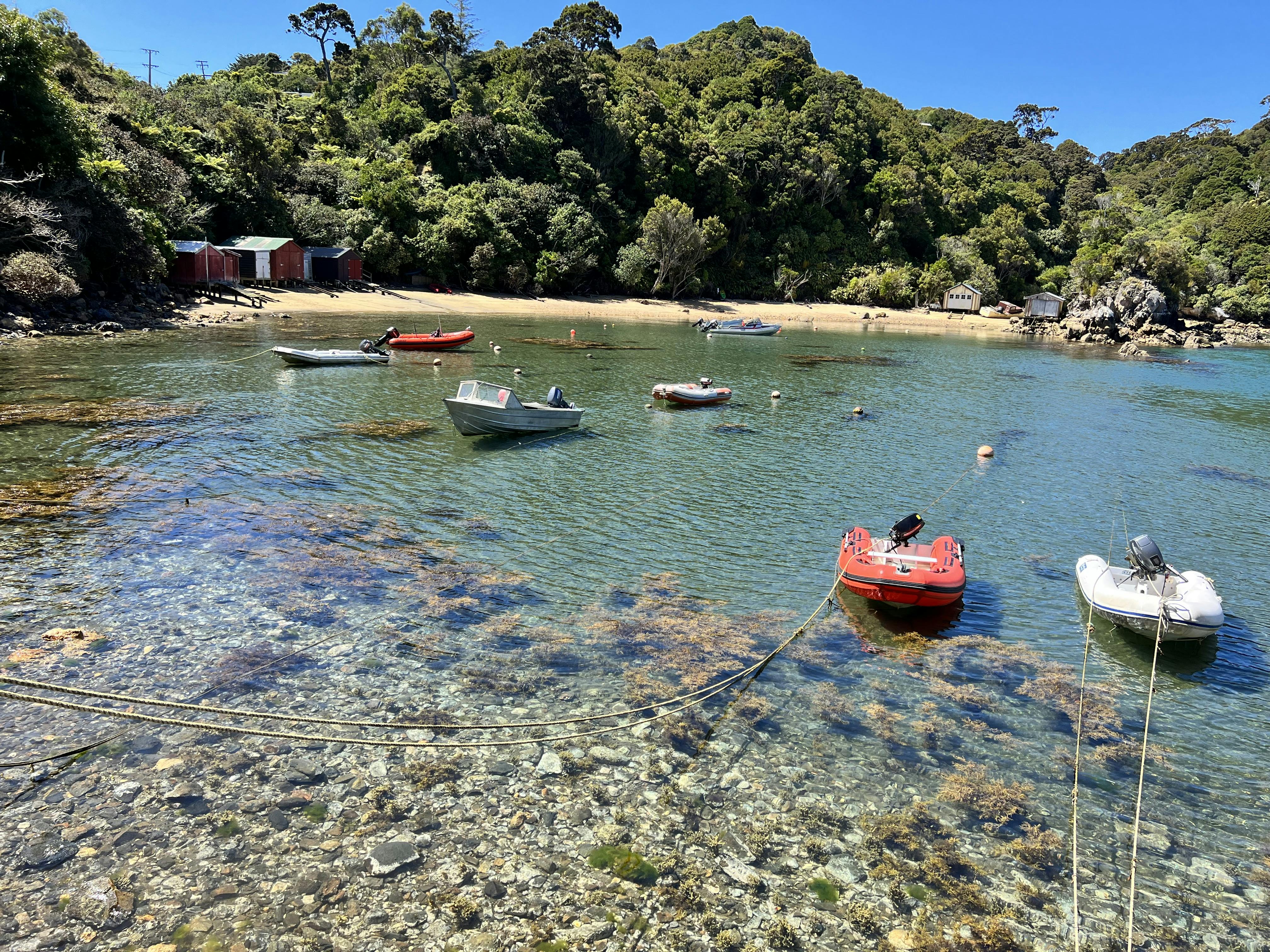 Golden Bay, Stewart Island