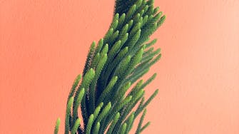 Digital Nomads zagreb croatia