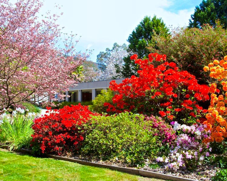 Stunning Spring garden